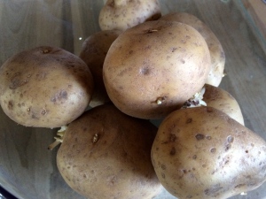 Potatoes: the humble base for many an Irish dish